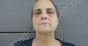 FULLER, KRISTEN DIANE | 2022-11-07 21:35:00 Taylor County, West Virginia Booking