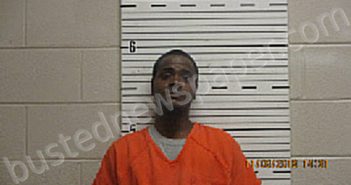 WARD, CHRISTOPHER LIONEL | 2022-11-07 Butler County, Alabama Booking