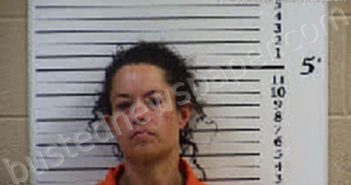 UNDERWOOD, CHRISTINA NICHOLE | 2022-11-07 20:00:00 Cherokee County, North Carolina Booking