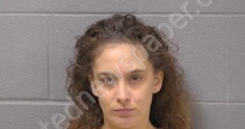 FARMER, ERICA L | 2022-11-08 22:14:00 Will County, Illinois Booking