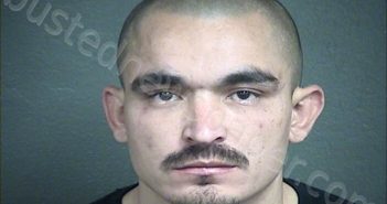 <B>VIVEROS</B>-RAMIREZ, <B>ISIDRO</B> #, Wyandotte County, Kansas - 2022-11-08
