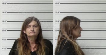 ADAMS, STACI D. | 2022-11-08 Kerr County, Texas Booking