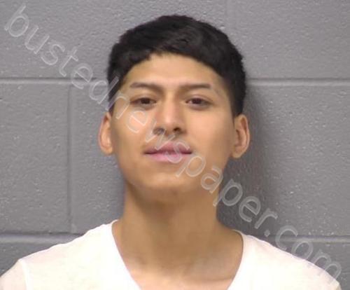HERNANDEZ, JASON H #, Will County, Illinois - 2022-11-08 16:31:00