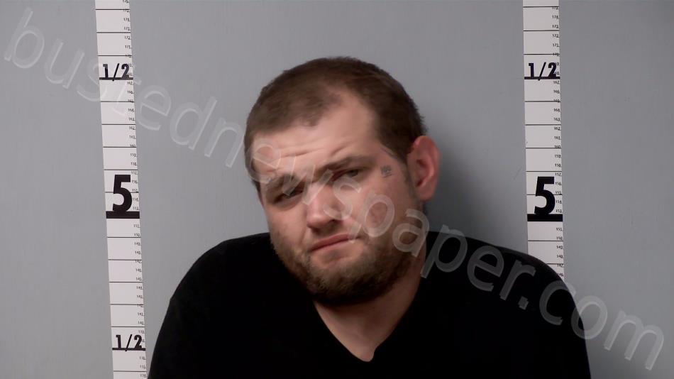 HIGGINS II, JAMES CHARLES-PHILLIP #, Gratiot County, Michigan - 2022-11-08 22:34:00