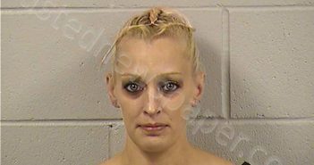 NAPOLEONE, ALICIA MARIE | 2022-11-08 23:17:00 Dickinson County, Kansas Booking