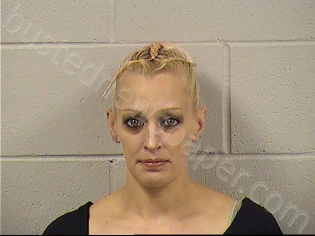 NAPOLEONE, ALICIA MARIE #, Dickinson County, Kansas - 2022-11-08 23:17:00