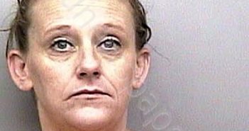 BLUE, BRANDY SUE | 2022-11-08 10:02:00 Taylor County, Florida Booking