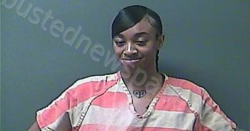 HUNT, ARIANA L | 2022-11-09 23:25:00 Laporte County, Indiana, La Porte County, Indiana Booking