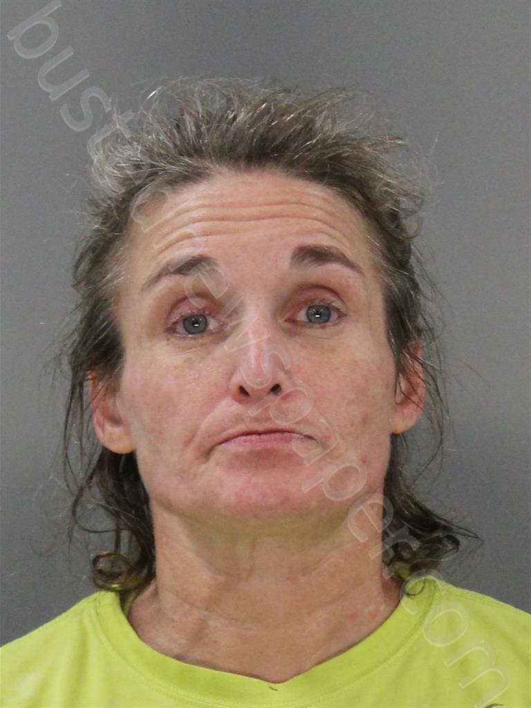 BROWN, KERRI ANN #, Buffalo County, Nebraska - 2022-11-09