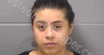 LOZANO, ADRIANA | 2022-11-10 01:17:00 Will County, Illinois Booking