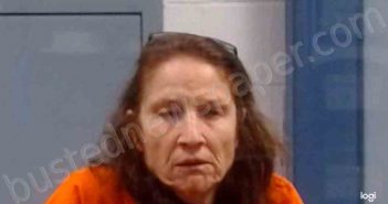 RAABE, NANCY ANNE | 2022-11-10 23:30:00 Kanawha County, West Virginia Booking