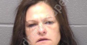 JOHANNES, JULIE L | 2022-11-10 00:33:00 Will County, Illinois Booking