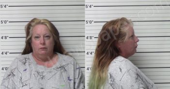 SMITH, BOBBIE | 2022-11-11 Kerr County, Texas Booking