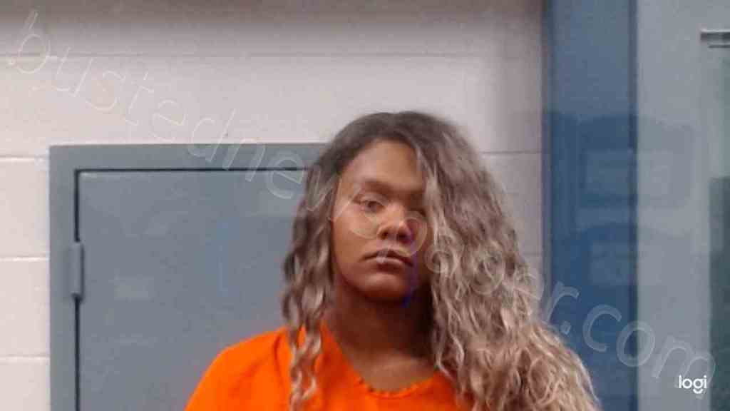 OBEY, AMYA NASHAE #, Kanawha County, West Virginia - 2022-11-11 10:05:00