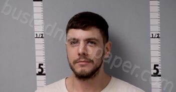 TOPELIAN, MATTHEW JOHN | 2022-11-11 17:31:00 Gratiot County, Michigan Booking