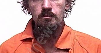 SKINNER, JAN RAY | 2022-11-11 20:32:00 Suwannee County, Florida Booking