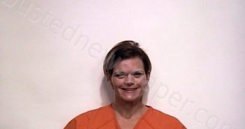 ELKINS, CYNTHIA ASHLEY | 2022-11-12 04:38:00 Suwannee County, Florida Booking