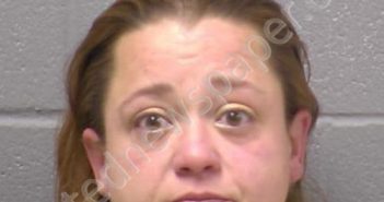 MARSHALEK, ELIZABETH J | 2022-11-12 00:42:00 Will County, Illinois Booking