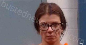 MARTIN, ASHLEE DAWN | 2022-11-13 11:38:00 Wood County, West Virginia Booking