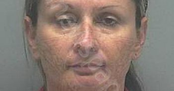 GIFFIN, MARGARET ANN | 2022-11-13 20:47:00 Lee County, Florida Booking