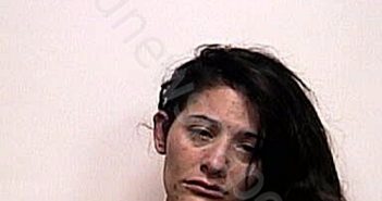 JENKINS, JESSICA DELISE | 2022-11-13 03:06:00 Suwannee County, Florida Booking