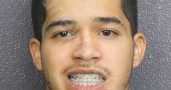 <B>RODRIGUEZ</B>, <B>ANGEL</B> CRUZ #, Broward County, Florida - 2022-11-13