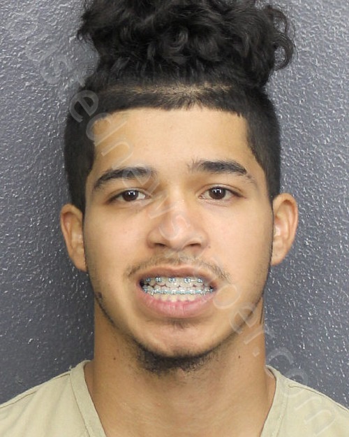 RODRIGUEZ, ANGEL CRUZ #, Broward County, Florida - 2022-11-13