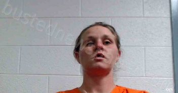 REED, ELIZABETH RENEE | 2022-11-13 02:15:00 Kanawha County, West Virginia Booking