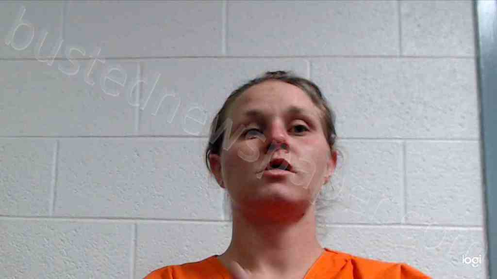 REED, ELIZABETH RENEE #, Kanawha County, West Virginia - 2022-11-13 02:15:00