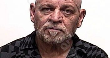 LEE, ROBERT DANIEL | 2022-11-14 18:30:00 Suwannee County, Florida Booking