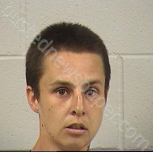 NELSON, CHELSEA ROSE #, Dickinson County, Kansas - 2022-11-14 18:06:00