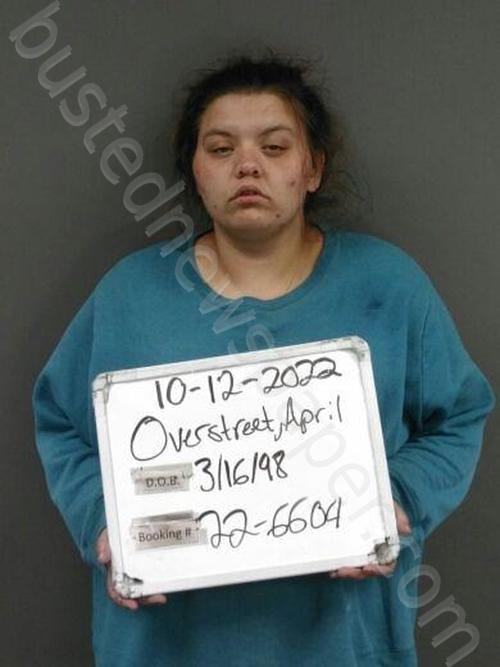 OVERSTREET, APRIL LEIGH #, Sebastian County, Arkansas - 2022-11-14 16:38:00