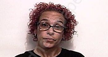 COX, KELLY MARIE | 2022-11-14 12:46:00 Suwannee County, Florida Booking