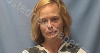 SONYA ELLIOTT | 2022-11-15 14:58:00 Logan County, Arkansas Booking