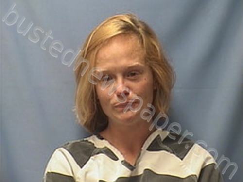 SONYA ELLIOTT #, Logan County, Arkansas - 2022-11-15 14:58:00