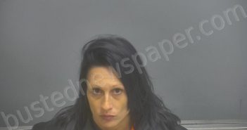 ORANGE, MEGAN ELIZABETH | 2022-11-15 07:49:00 Amherst County, Virginia Booking