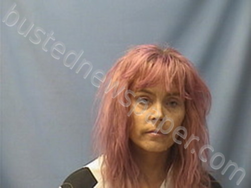 JACLYNN WHITEHEAD #, Logan County, Arkansas - 2022-11-15 14:37:00