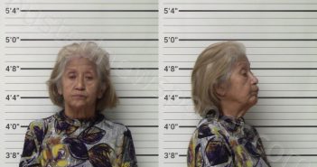 LOZANO, NANCY MARTINEZ | 2022-11-15 Kerr County, Texas Booking