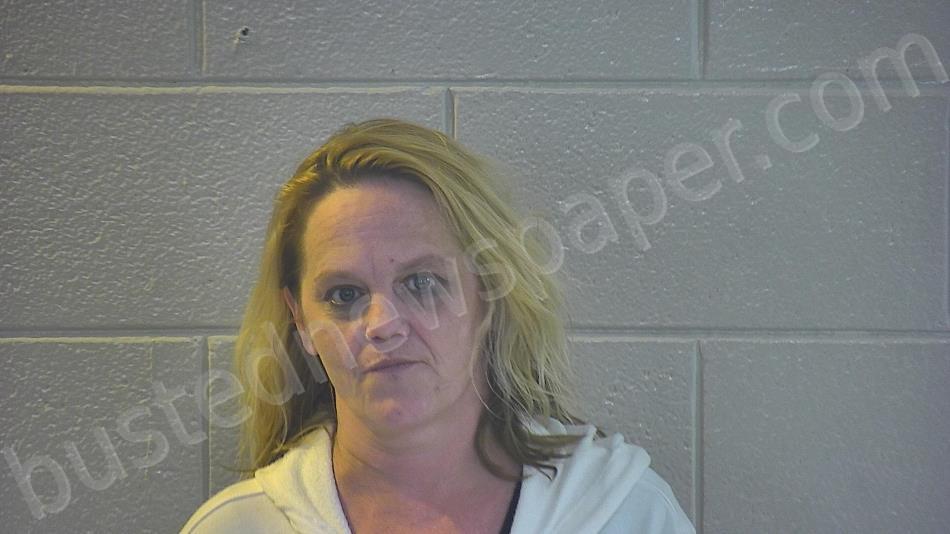 HARDWICK, MELISSA ANNE #, Pulaski County, Kentucky - 2022-11-16 01:23:00