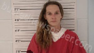 ROBERTSON, PAMELA TOROK | 2022-11-16 19:30:00 Middle Peninsula Regional Jail, Virginia Booking