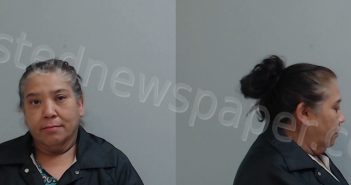 PUENTE, URSULA YVONNE | 2022-11-17 Hidalgo County, Texas Booking