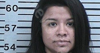 MARTINEZ, CAROLINA | 2022-11-17 10:42:55 Hood County, Texas Booking
