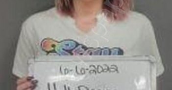 HALL, DENISE BREANNE | 2022-11-17 16:10:00 Sebastian County, Arkansas Booking