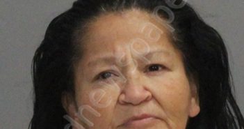 RIVERA, THERESA ANN | 2022-11-17 Brazos County, Texas Booking