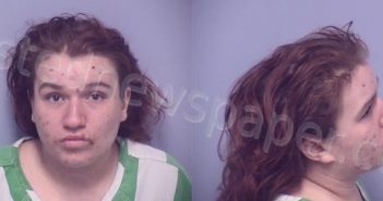 NIEBERGER, CECEILA RAE | 2022-11-17 Roanoke County, Virginia Booking