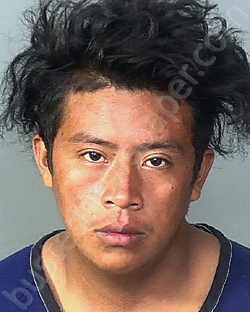 ENRIQUE, AUCELIO #, Manatee County, Florida - 2022-11-18