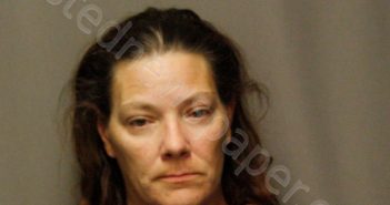 ROLLET, RACHEL ANN | 2022-11-18 02:18:00 Perry County, Missouri Booking