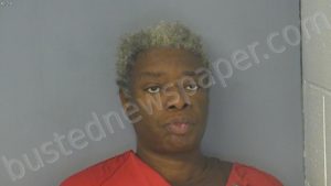 CHANNEL, CYNTHIA RASHEEMA | 2022-11-18 22:46:00 Virginia Peninsula Regional Jail, Virginia Booking