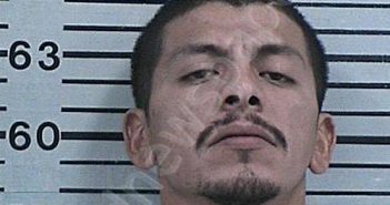 TRUJILLO, ROLANDO ELIJAH | 2022-11-18 20:12:36 Hood County, Texas Booking