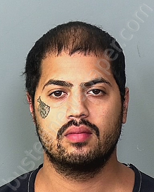 RODRIGUEZ RAMOS, ANGEL A #, Manatee County, Florida - 2022-11-18